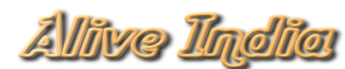Alive India Tours & Travels