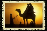 Popular Tours of India