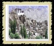 Uleytokpo Camp Ladakh, Ladakh Travel Packages